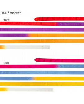 RUBAN multicolore CHACOTT INFINITY 6M